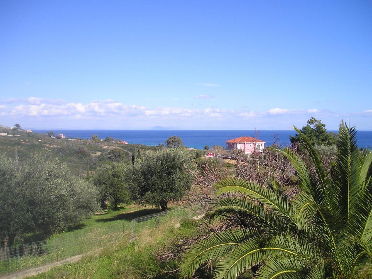 Nikolaos Studios Skala Skala  Екстер'єр фото